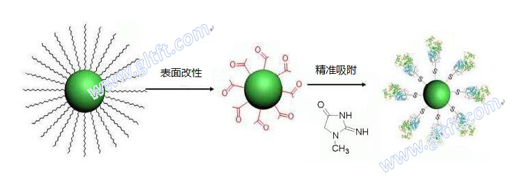 fig5-精準吸附機理